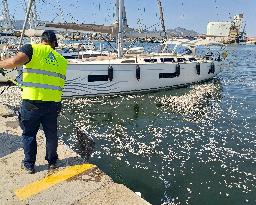 Thousands Of Floating Dead Fish Blanket Greek Port - Volos