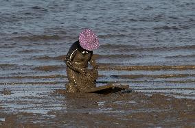 Mollusk Fishing In The Tejo River, Lisbon.