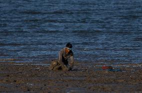 Mollusk Fishing In The Tejo River, Lisbon.