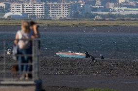 Mollusk Fishing In The Tejo River, Lisbon.