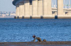 Mollusk Fishing In The Tejo River, Lisbon.