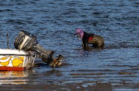 Mollusk Fishing In The Tejo River, Lisbon.