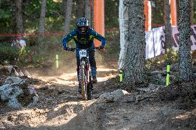 UCI Mountain Bike World Championships Men Downhill - Day 3