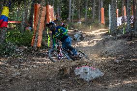 UCI Mountain Bike World Championships Men Downhill - Day 3