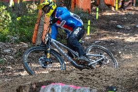 UCI Mountain Bike World Championships Men Downhill - Day 3