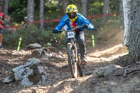 UCI Mountain Bike World Championships Men Downhill - Day 3