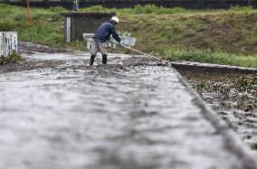 Powerful typhoon in Japan