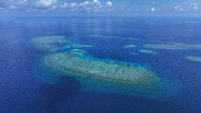 Healthy Coral Reef Ecosystem At Xianbin Jiao - China