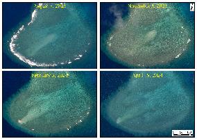 Healthy Coral Reef Ecosystem At Xianbin Jiao - China