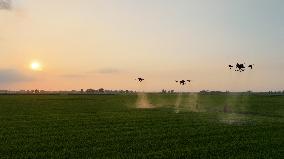 Intelligent Agriculture