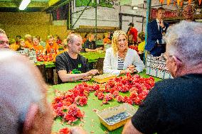 Queen Maxima Visits Preparations For Zundert Flower Parade - Netherlands