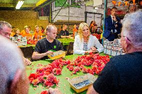 Queen Maxima Visits Preparations For Zundert Flower Parade - Netherlands