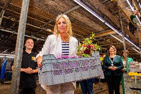 Queen Maxima Visits Preparations For Zundert Flower Parade - Netherlands