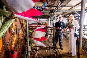 Queen Maxima Visits Preparations For Zundert Flower Parade - Netherlands