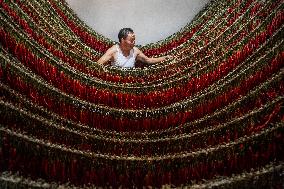 Chili Pepper Harvest in Bijie