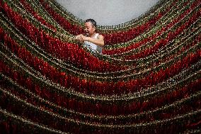 Chili Pepper Harvest in Bijie