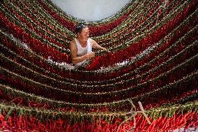 Chili Pepper Harvest in Bijie