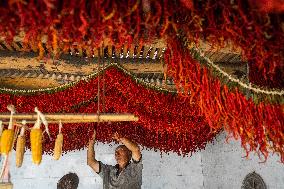 Chili Pepper Harvest in Bijie