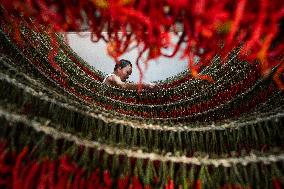 Chili Pepper Harvest in Bijie