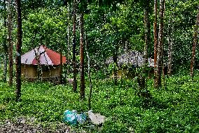 Protected And Off-limits Reserve Forest Area In Kodaikanal