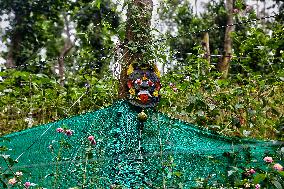 Protected And Off-limits Reserve Forest Area In Kodaikanal