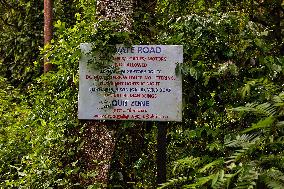 Protected And Off-limits Reserve Forest Area In Kodaikanal