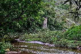 Protected And Off-limits Reserve Forest Area In Kodaikanal