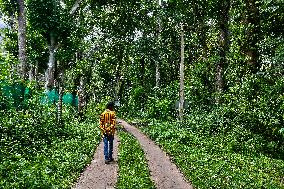 Protected And Off-limits Reserve Forest Area In Kodaikanal