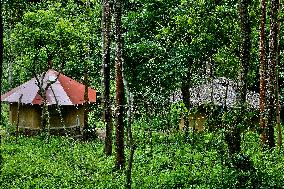 Protected And Off-limits Reserve Forest Area In Kodaikanal