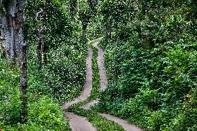 Protected And Off-limits Reserve Forest Area In Kodaikanal