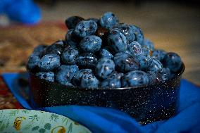 Seasonal Plum Jam Making