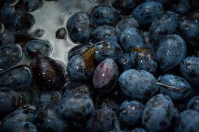 Seasonal Plum Jam Making