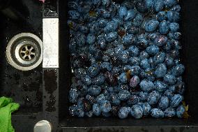 Seasonal Plum Jam Making