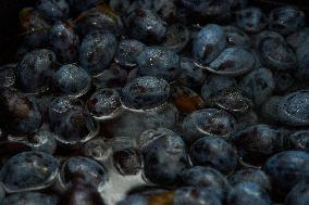 Seasonal Plum Jam Making