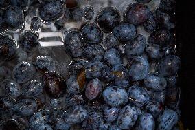 Seasonal Plum Jam Making