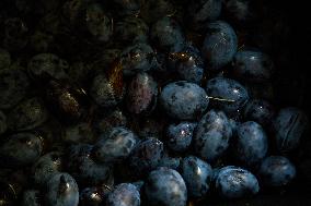 Seasonal Plum Jam Making