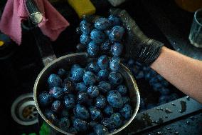 Seasonal Plum Jam Making