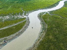 Aerial View Of Economics Zone In Bangladesh