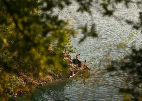 A Summer Haven In Zakrzowek Krakow’s Urban Oasis