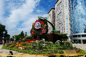 2024 Forum on China-Africa Cooperation Summit Flower Bed