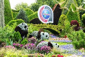 2024 Forum on China-Africa Cooperation Summit Flower Bed