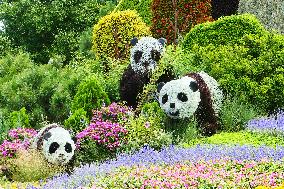 2024 Forum on China-Africa Cooperation Summit Flower Bed