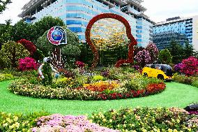 2024 Forum on China-Africa Cooperation Summit Flower Bed