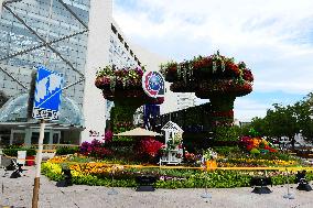 2024 Forum on China-Africa Cooperation Summit Flower Bed