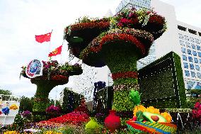 2024 Forum on China-Africa Cooperation Summit Flower Bed