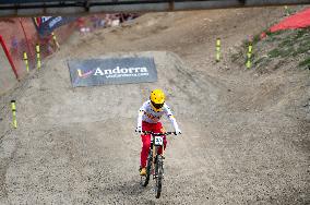 UCI Mountain Bike World Championships Men Downhill Race