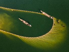 Fishing In Bangladesh