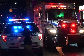 Bone Fragments Recovered At Brooklyn Bridge Park In Brooklyn New York