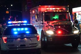 Bone Fragments Recovered At Brooklyn Bridge Park In Brooklyn New York