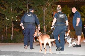 Bone Fragments Recovered At Brooklyn Bridge Park In Brooklyn New York